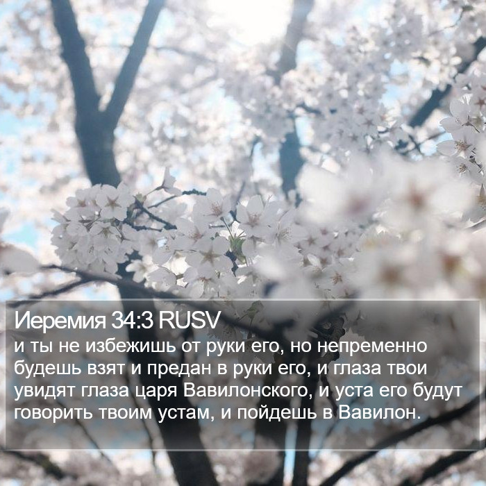 Иеремия 34:3 RUSV Bible Study