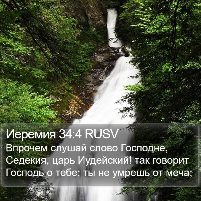 Иеремия 34:4 RUSV Bible Study