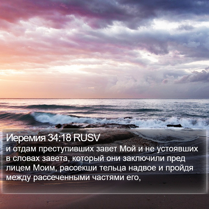 Иеремия 34:18 RUSV Bible Study