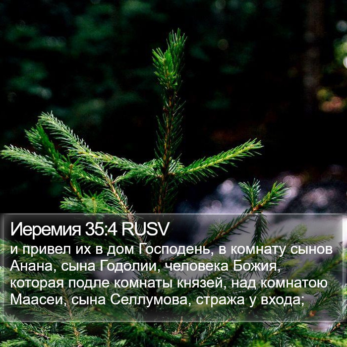 Иеремия 35:4 RUSV Bible Study