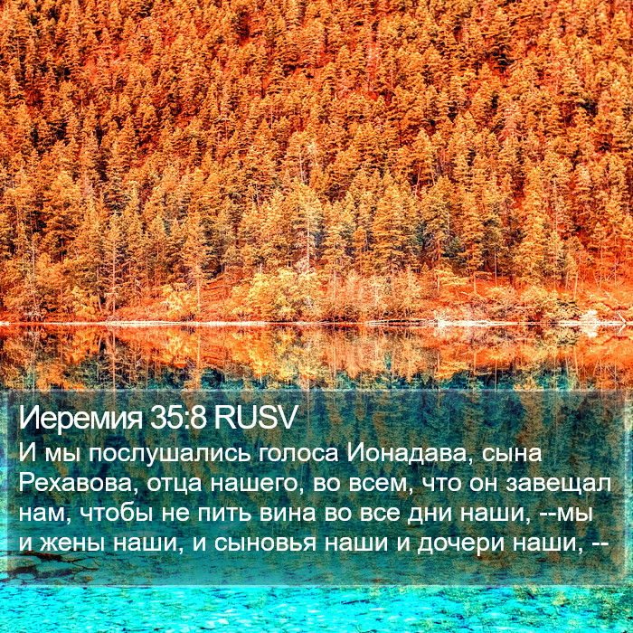 Иеремия 35:8 RUSV Bible Study