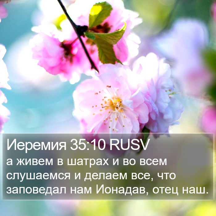Иеремия 35:10 RUSV Bible Study