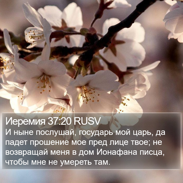 Иеремия 37:20 RUSV Bible Study