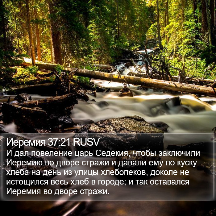 Иеремия 37:21 RUSV Bible Study