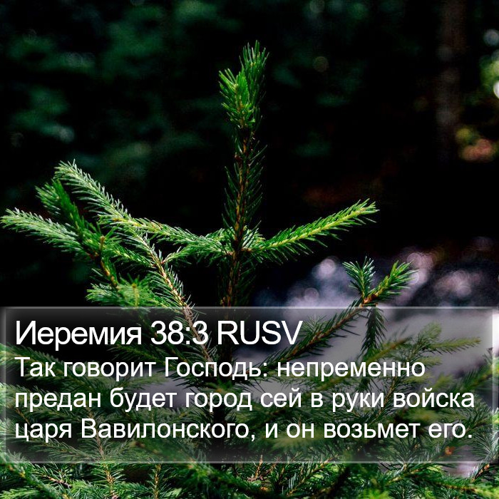 Иеремия 38:3 RUSV Bible Study