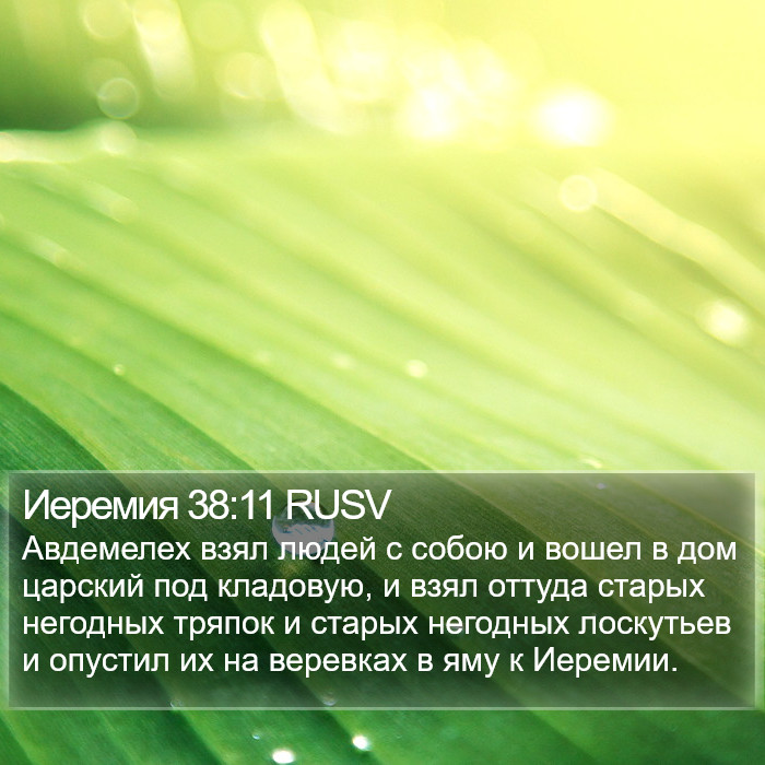 Иеремия 38:11 RUSV Bible Study