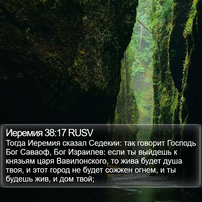 Иеремия 38:17 RUSV Bible Study