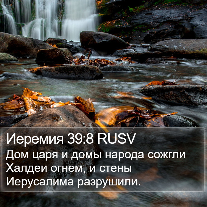 Иеремия 39:8 RUSV Bible Study