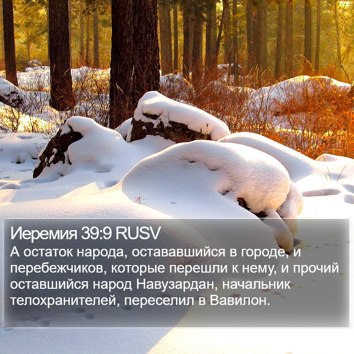 Иеремия 39:9 RUSV Bible Study