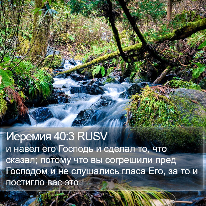 Иеремия 40:3 RUSV Bible Study