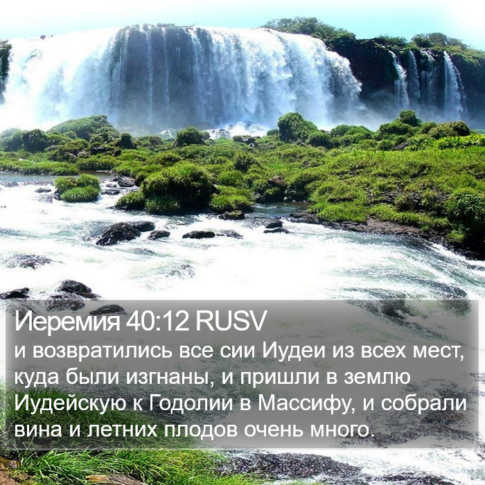 Иеремия 40:12 RUSV Bible Study