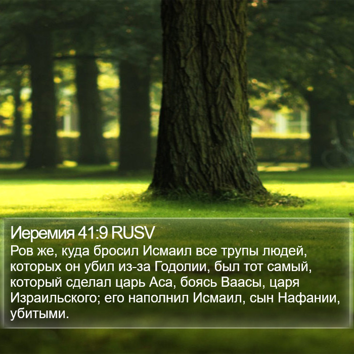 Иеремия 41:9 RUSV Bible Study