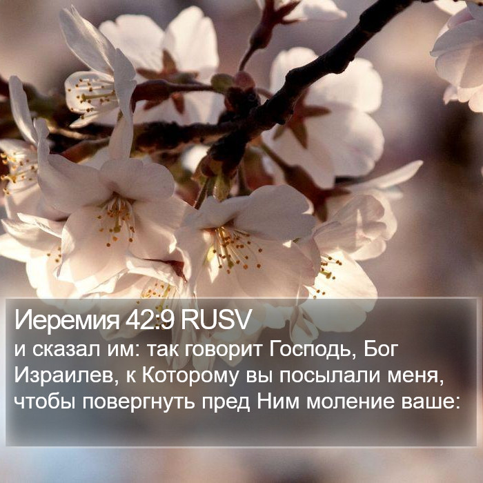 Иеремия 42:9 RUSV Bible Study