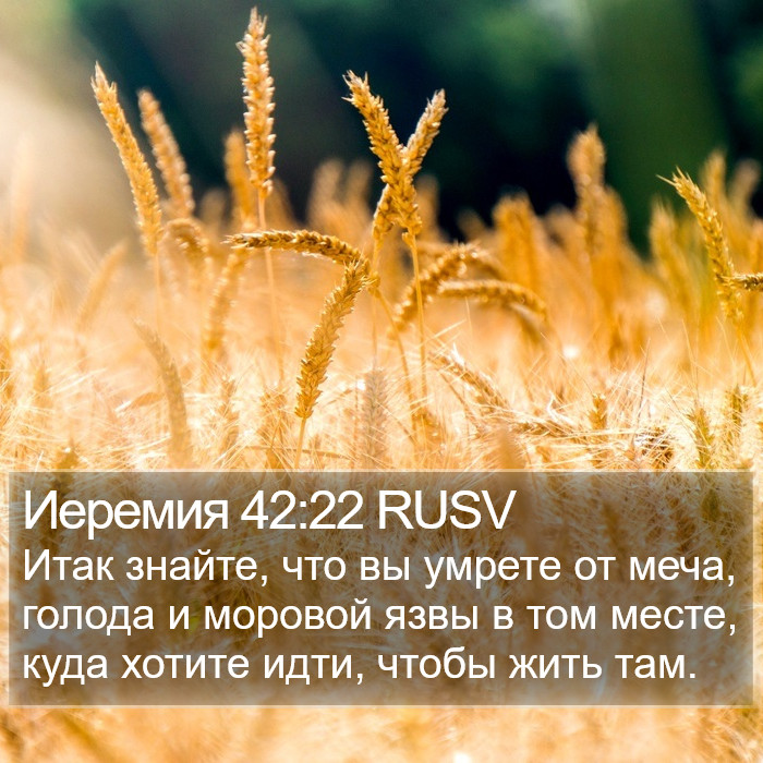 Иеремия 42:22 RUSV Bible Study