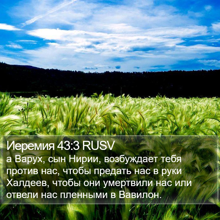 Иеремия 43:3 RUSV Bible Study