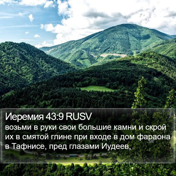 Иеремия 43:9 RUSV Bible Study