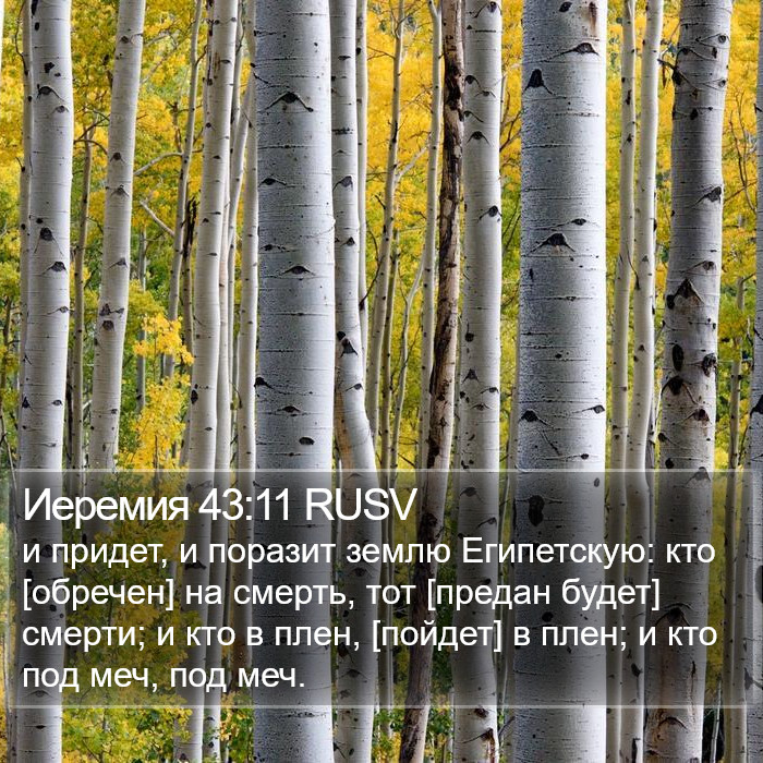 Иеремия 43:11 RUSV Bible Study