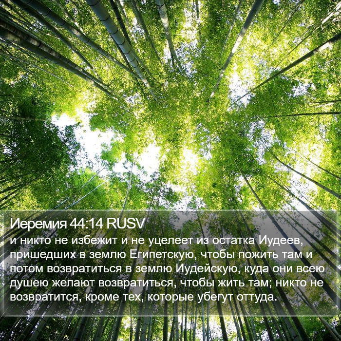 Иеремия 44:14 RUSV Bible Study