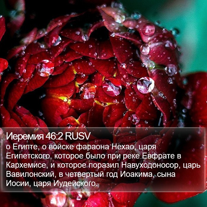 Иеремия 46:2 RUSV Bible Study