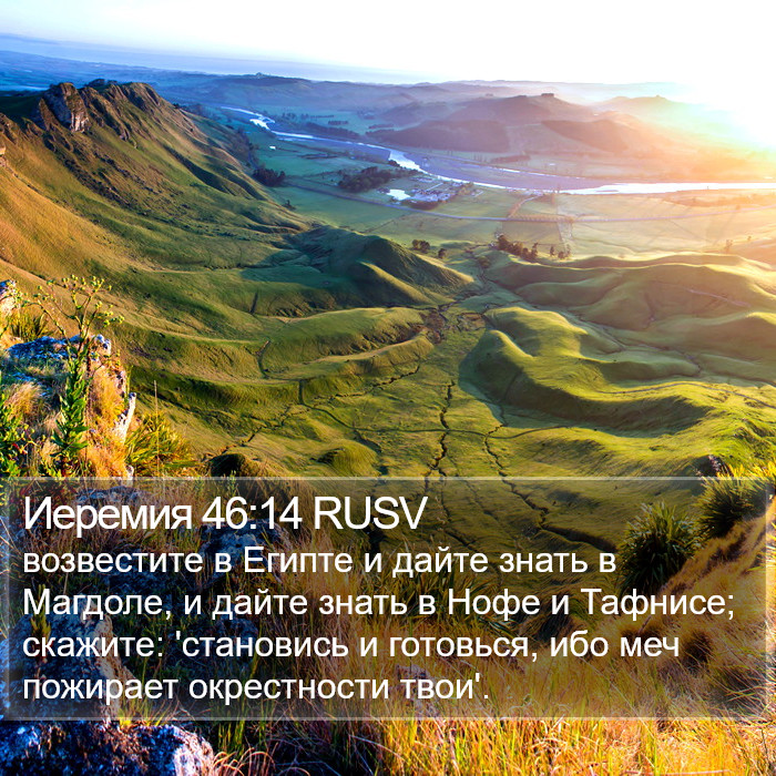 Иеремия 46:14 RUSV Bible Study