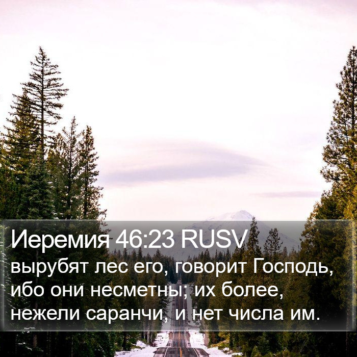 Иеремия 46:23 RUSV Bible Study