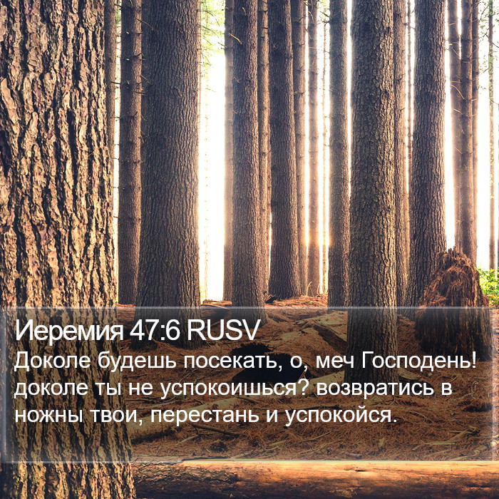 Иеремия 47:6 RUSV Bible Study