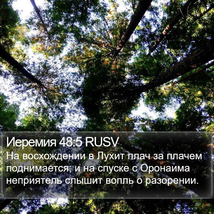 Иеремия 48:5 RUSV Bible Study