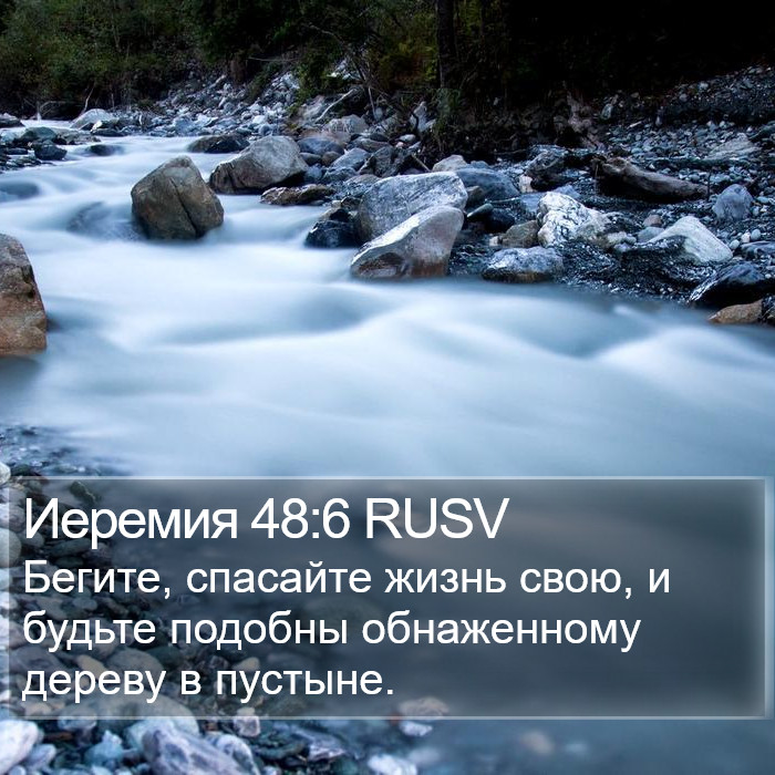 Иеремия 48:6 RUSV Bible Study