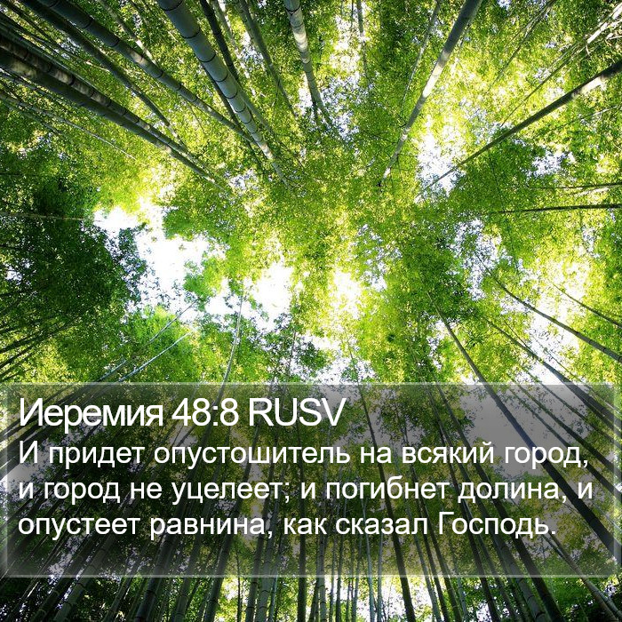 Иеремия 48:8 RUSV Bible Study