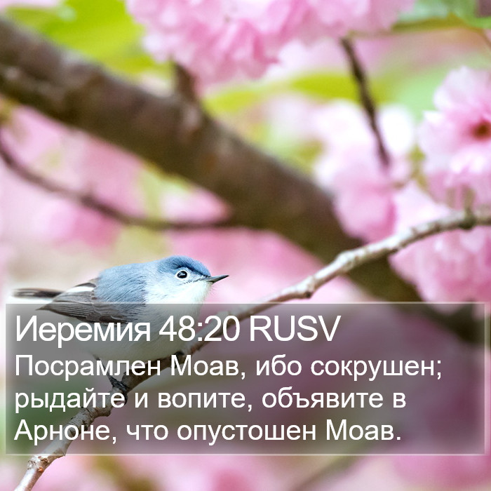 Иеремия 48:20 RUSV Bible Study