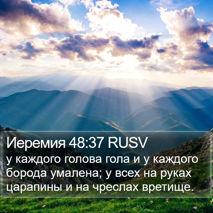 Иеремия 48:37 RUSV Bible Study