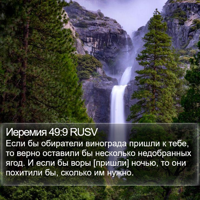 Иеремия 49:9 RUSV Bible Study