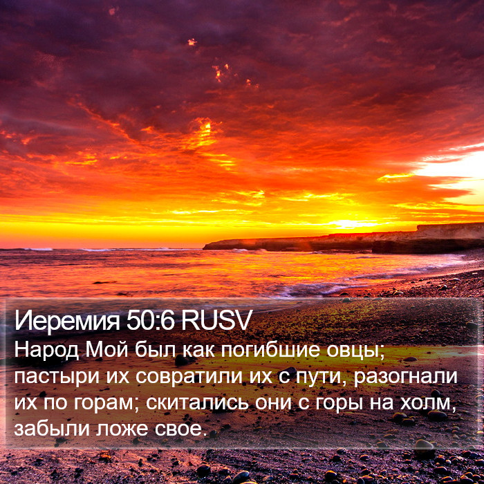 Иеремия 50:6 RUSV Bible Study