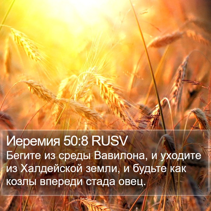 Иеремия 50:8 RUSV Bible Study