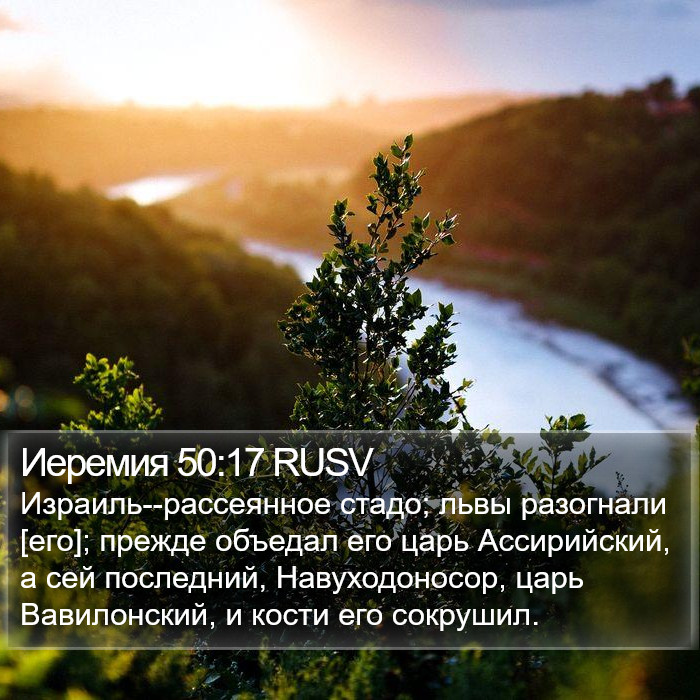 Иеремия 50:17 RUSV Bible Study