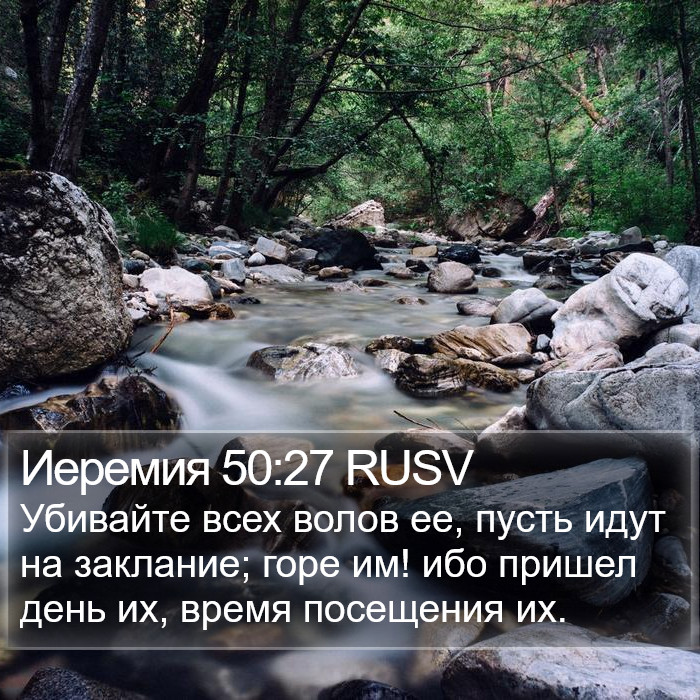 Иеремия 50:27 RUSV Bible Study