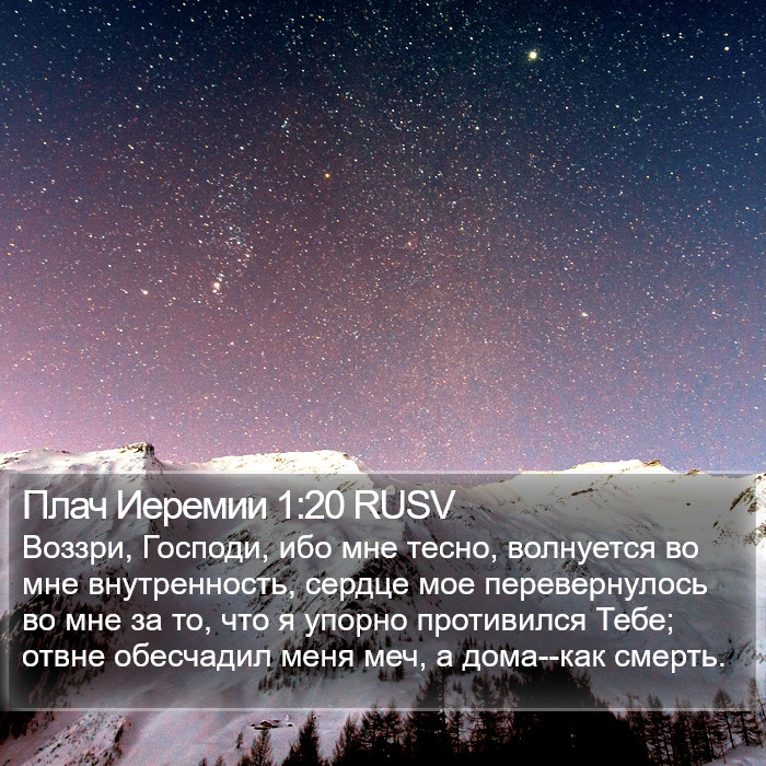 Плач Иеремии 1:20 RUSV Bible Study