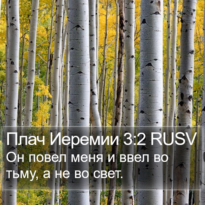 Плач Иеремии 3:2 RUSV Bible Study