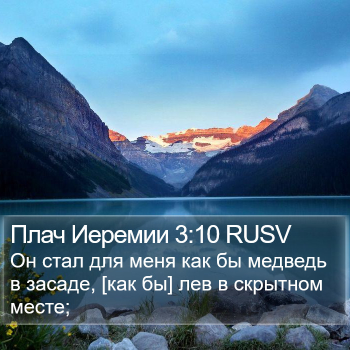 Плач Иеремии 3:10 RUSV Bible Study