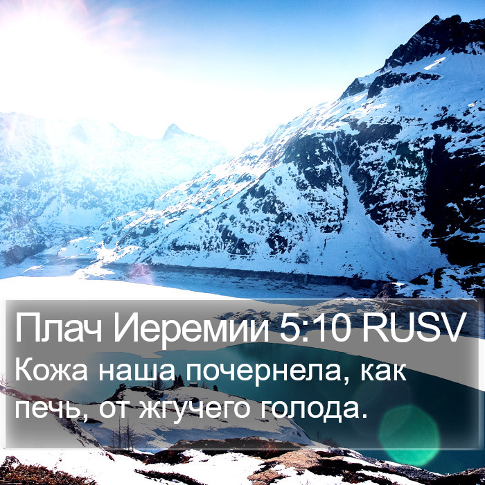 Плач Иеремии 5:10 RUSV Bible Study