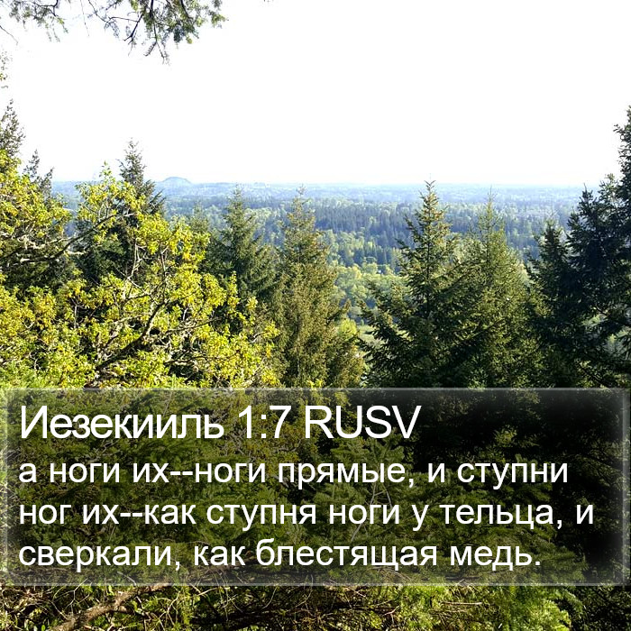 Иезекииль 1:7 RUSV Bible Study