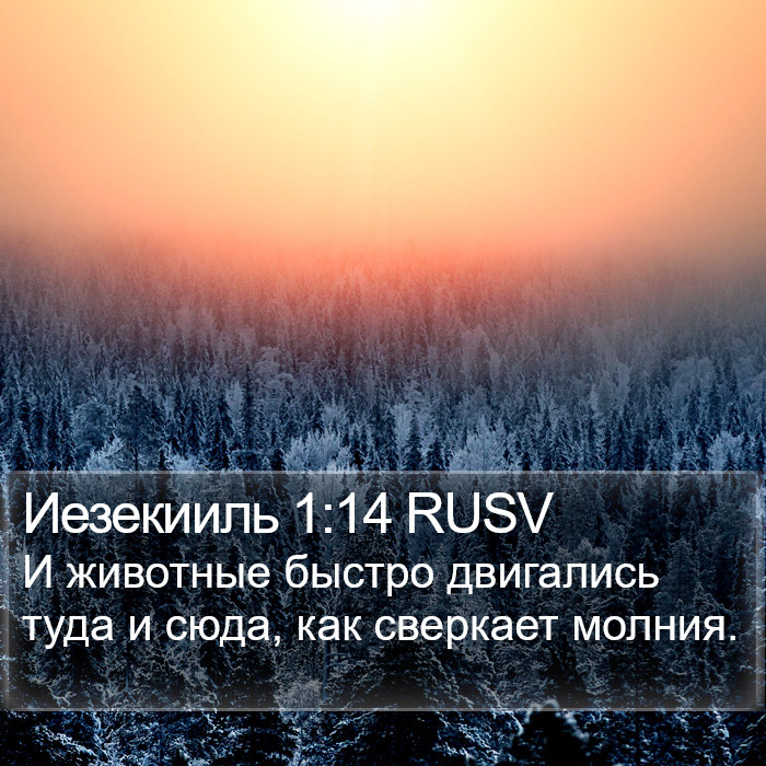 Иезекииль 1:14 RUSV Bible Study