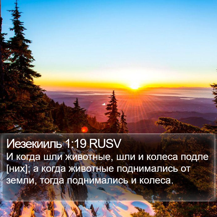 Иезекииль 1:19 RUSV Bible Study