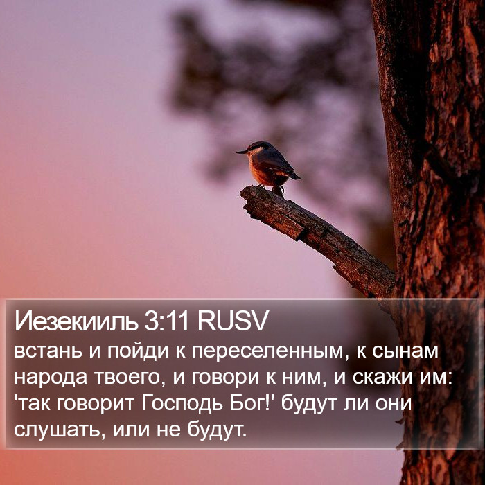 Иезекииль 3:11 RUSV Bible Study