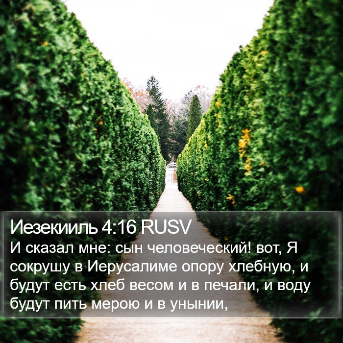 Иезекииль 4:16 RUSV Bible Study