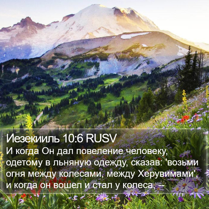 Иезекииль 10:6 RUSV Bible Study