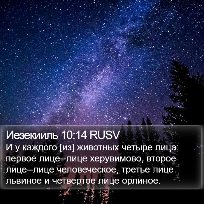 Иезекииль 10:14 RUSV Bible Study