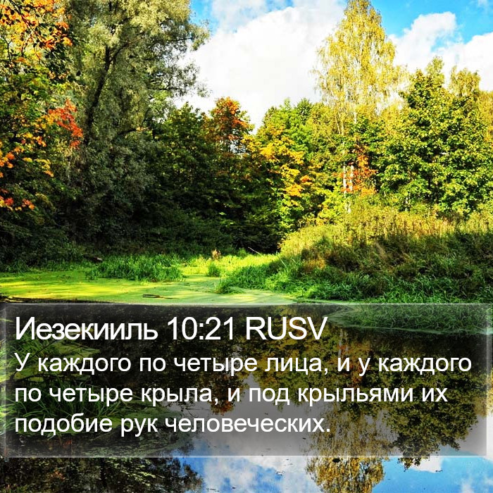 Иезекииль 10:21 RUSV Bible Study
