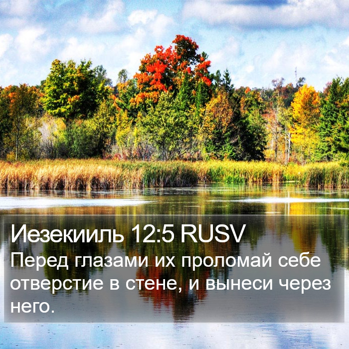 Иезекииль 12:5 RUSV Bible Study