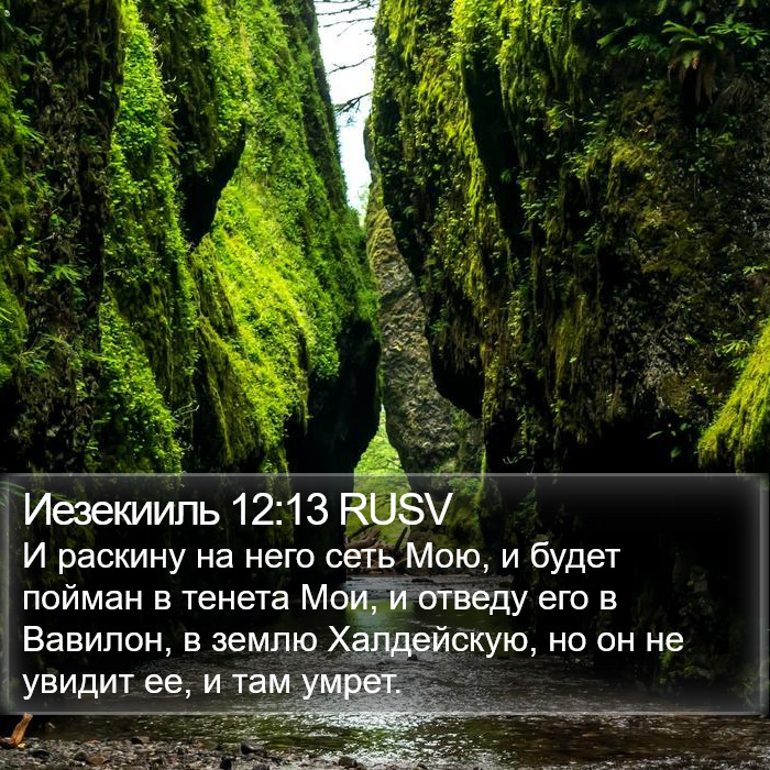 Иезекииль 12:13 RUSV Bible Study